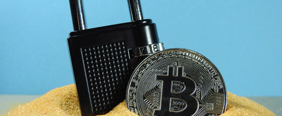 W jaki sposób zabezpieczyć i przechowywać swoje kryptowaluty?